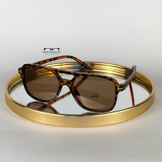 Dioptrijski model 117