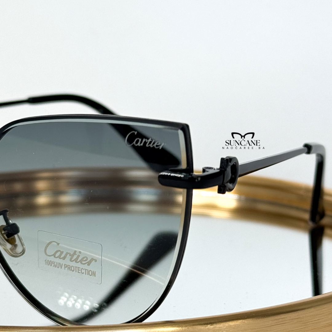 Sunčane naočare 60/02