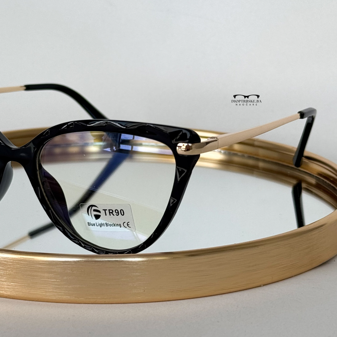 Dioptrijski model 101