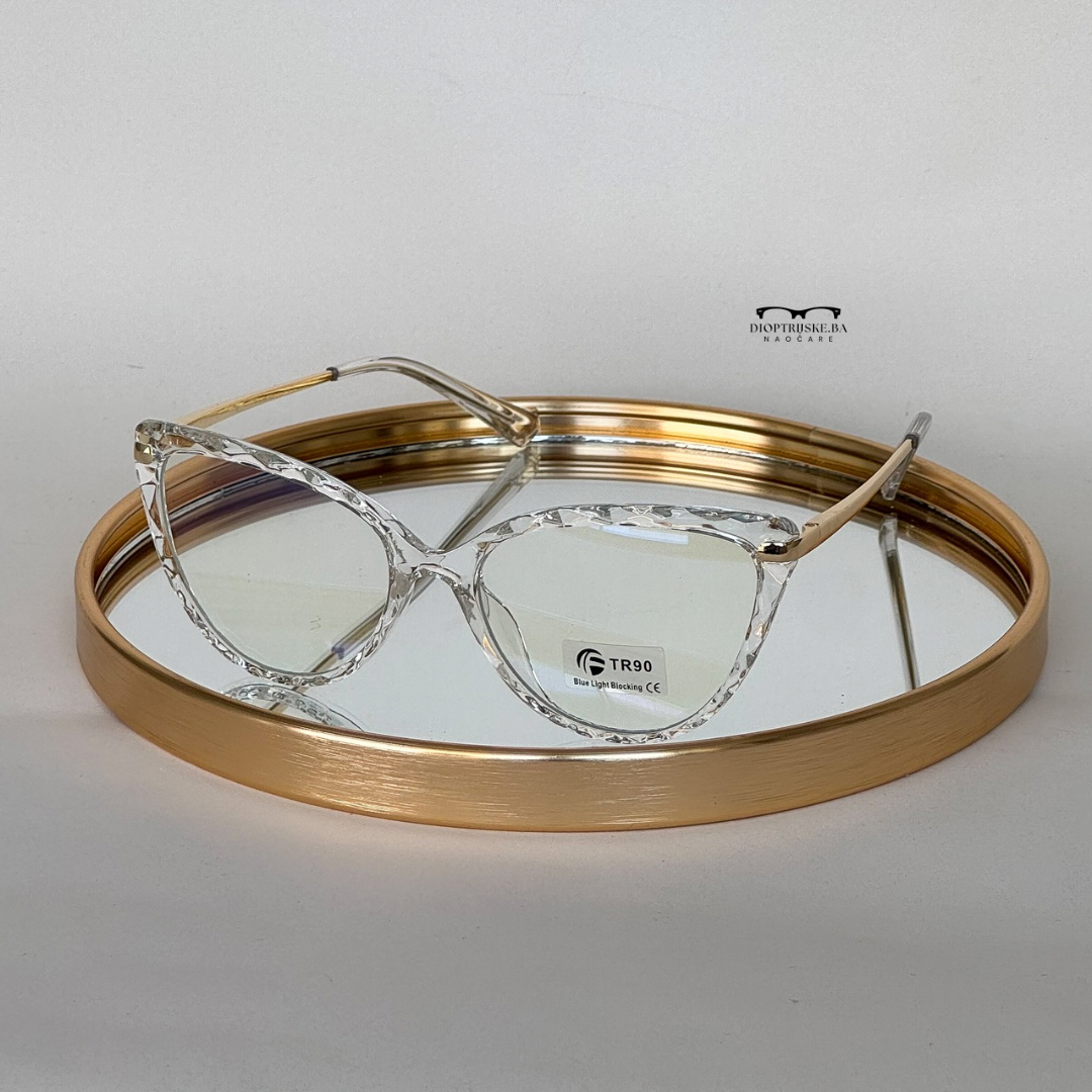 Dioptrijski model 101